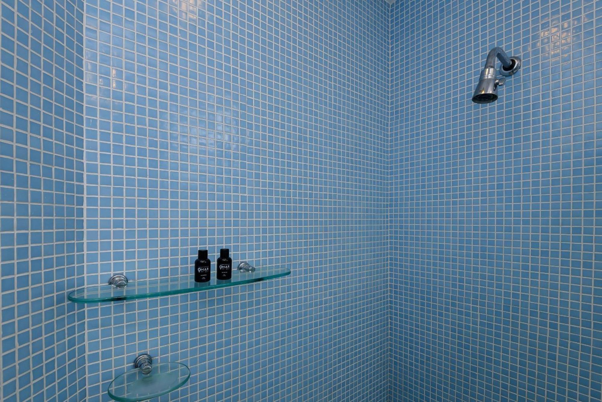 Appartement Amplo & Moderno 2qtos Em Ipanema | Bt 185/401